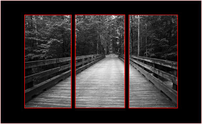 3BWRed.jpg