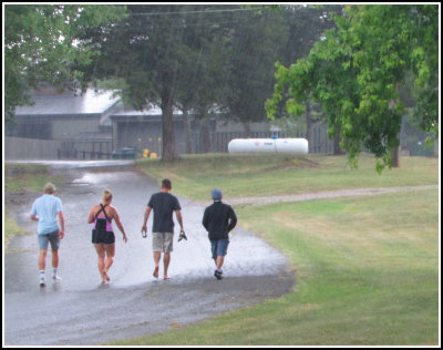  A walk in the rain,  A common activity this year. 