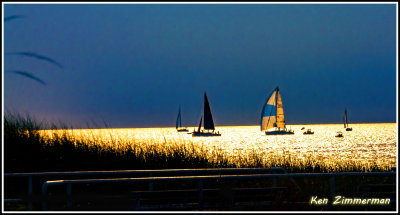 IMG_6878.jpg