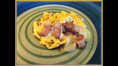 little shrimp omelet 2-27-22