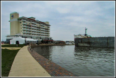IMG_3239.jpg