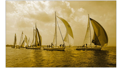 sepia 2.jpg
