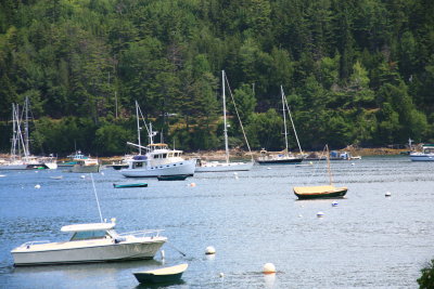IMG_0040.JPG