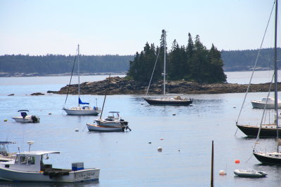 IMG_0050.JPG