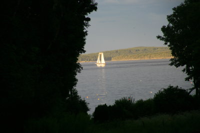 IMG_0084.JPG