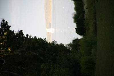 IMG_0085.JPG