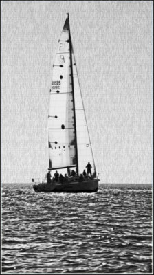 sail art.jpg