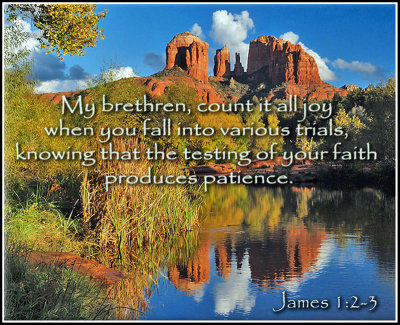98083750.WFf8xsZM.james1_2_3.jpg