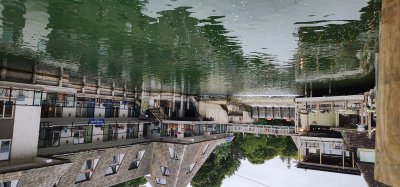 fish_town__leland