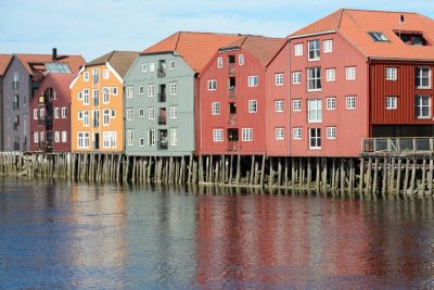 037_NOR190319.jpg