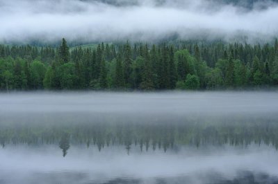 055_NOR190230.jpg