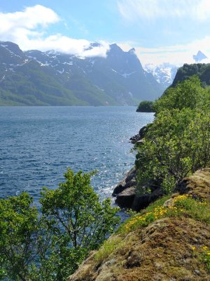 067_NOR190261V.jpg