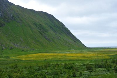070_NOR190269.jpg