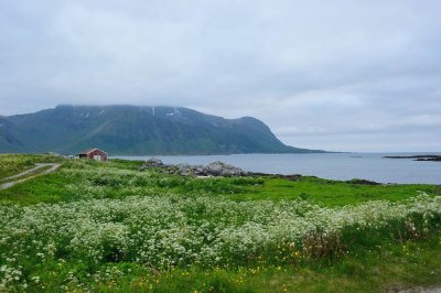 072_NOR190401.jpg