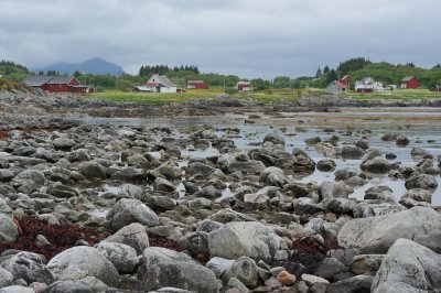 091_NOR190439.jpg