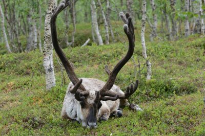 099_NOR190510.jpg
