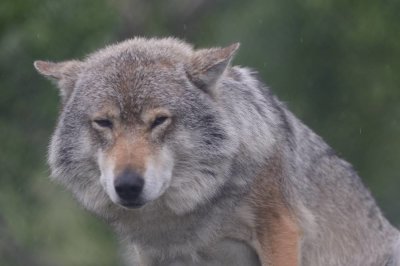 102_NOR190515.jpg