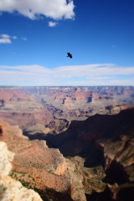 Grand Canyon 06.JPG