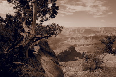 Grand Canyon 39.JPG