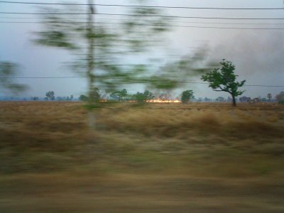 Burning rice Fields - Issan