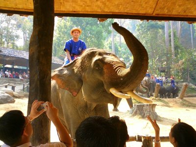 Elephant Show - near Chiang Mai