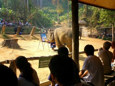 Elephant painting - near Chiang Mai