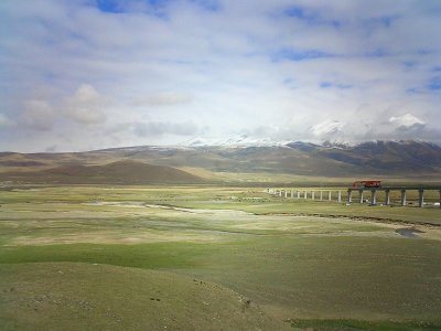 g12/50/479350/3/43884572.Xib2tuLu.jpg