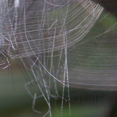 9. Abstract
