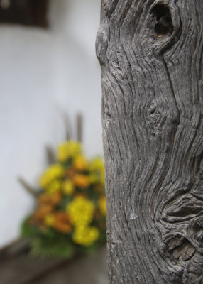 23. Texture