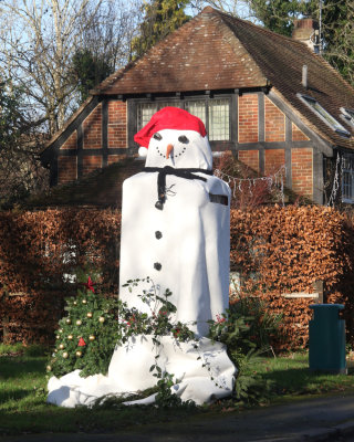 1. Dressed up for the season