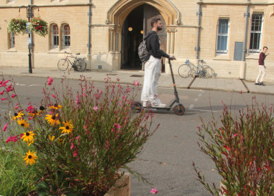 296. Bikes, Scooters and Flowers