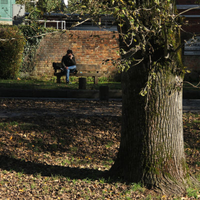 331. Sitting on a Bench