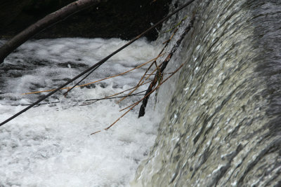 15. Fast Flowing