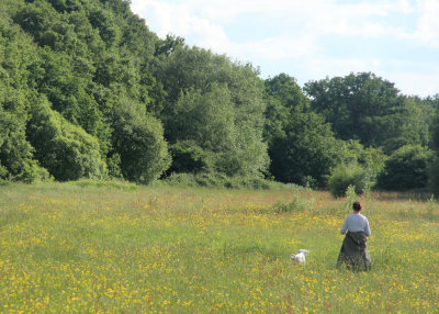 7, A Walk in the Meadow