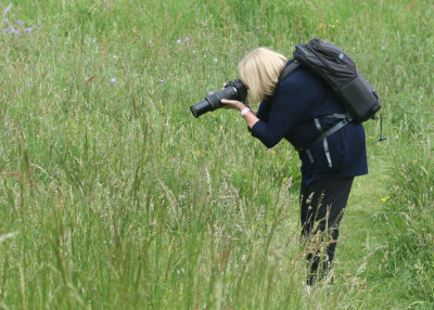10, Photographing in a meadow