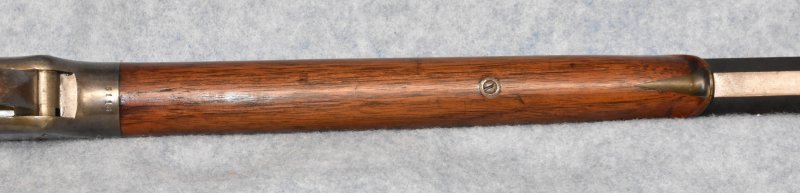 Forearm Underside 