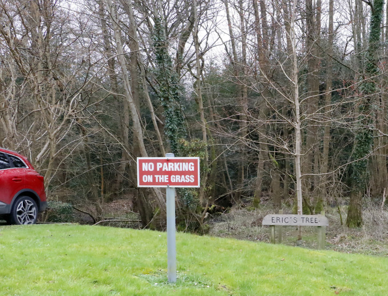 Maybe Eric parked on the grass.