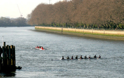 The red boat is racing for the finish line, the black boat is coxed by an idiot..