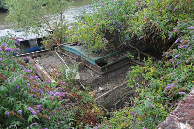 I like to see plants on a houseboat, makes it homely.