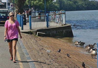 Putney Embankment