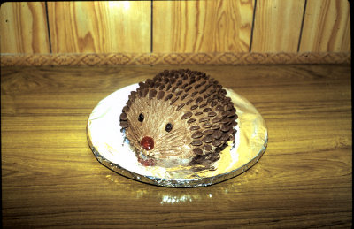 You cant beat a bit of baked hedgehog