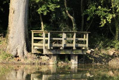 Observation platform beside Sherbourne pond.