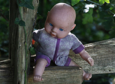 Walking through a dark wood, then see this cute little doll on a fence.
Except I could swear it was staring at me.
Suddenly not so cute, even a little bit evil.