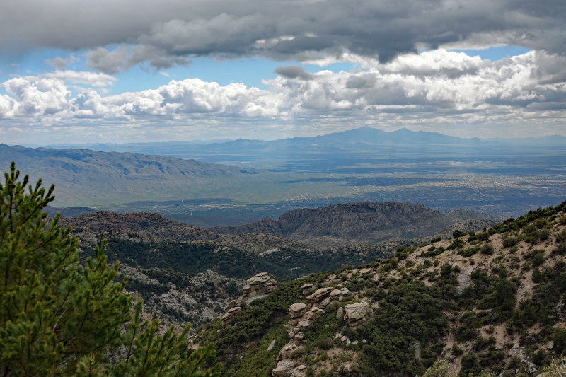 Mt. Lemmon