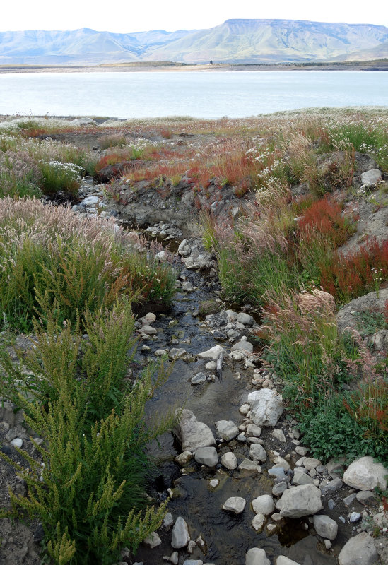 Argentino Lake