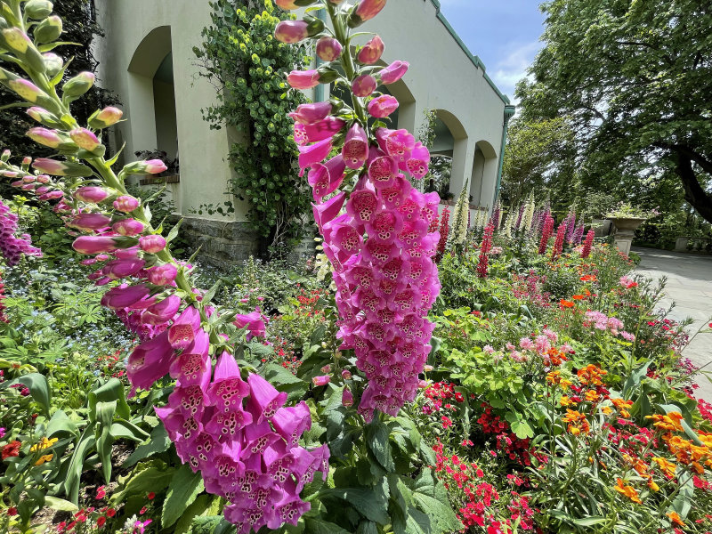 Chanticleer Gardens