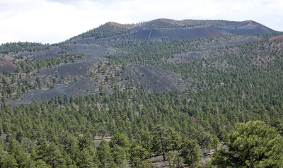 Sunset Crater Volcano N.M.