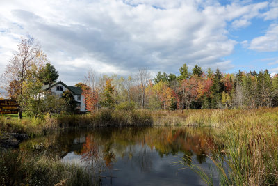 fall reflection