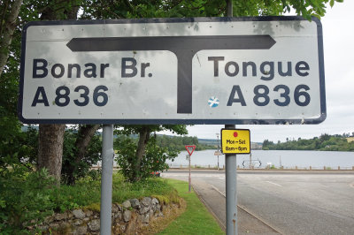 Bonar Br. Tongue
