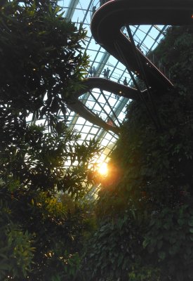 g12/50/666450/3/170465027.F7UXf6pi.jpg